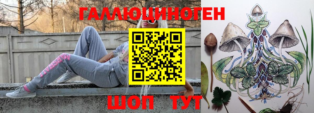 Псилоцибиновые грибы Psilocybine cubensis  Вход с VPN  Борисоглебск 